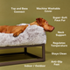 End of bed dog bed by Fuzi, featuring a raised platform to keep your pet comfortable and supported.