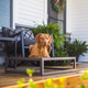 Fuzi Up Pup platform dog bed, a raised orthopedic dog bed with a metal frame in brown, designed for use with or without the Sammy bolster dog bed, in three sizes and ideal for outdoor use.
