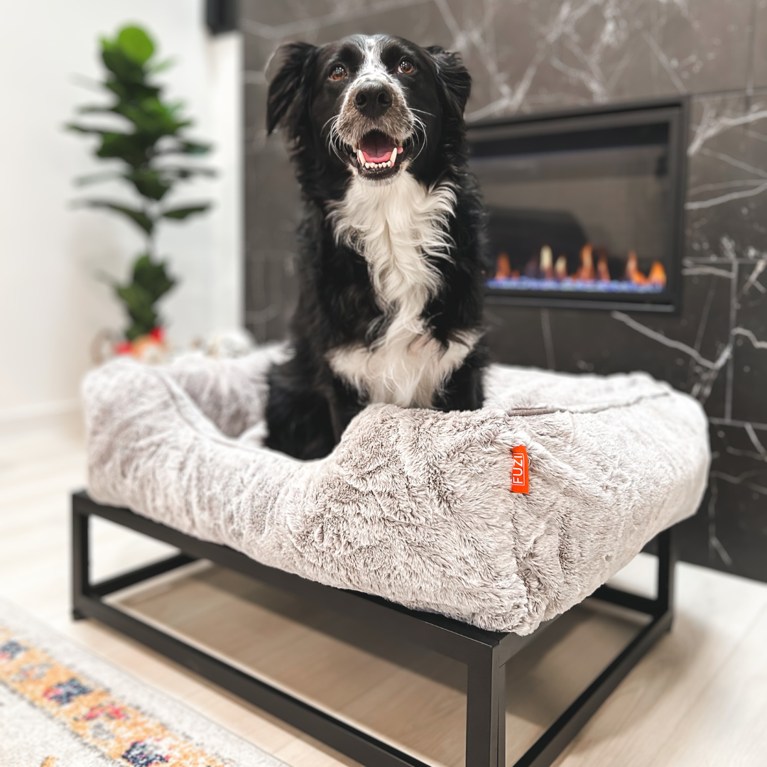 Elevated dog bed by Fuzi, perfect for keeping your pet off the ground and comfortable, medium elevated dog bed in light grey and black metal base.