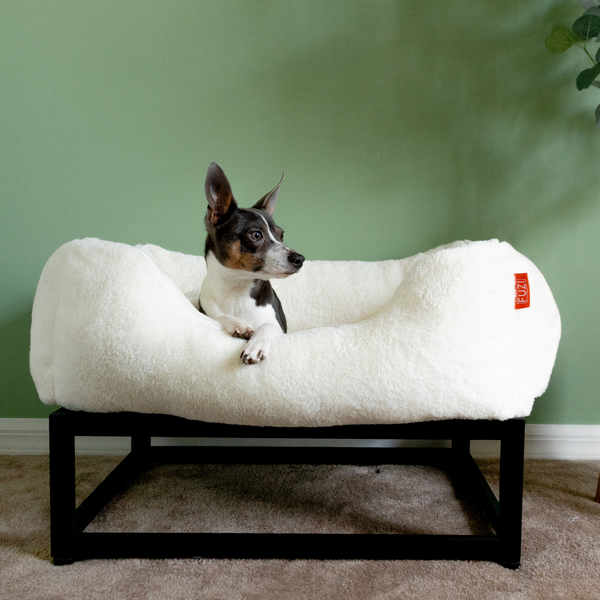 Fuzi raised dog bed providing orthopedic support and enhanced comfort for dogs of all sizes, in black and white.