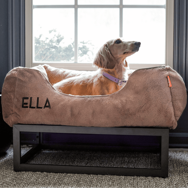 dachshund in brown fuzi elevated dog bed with personalization.