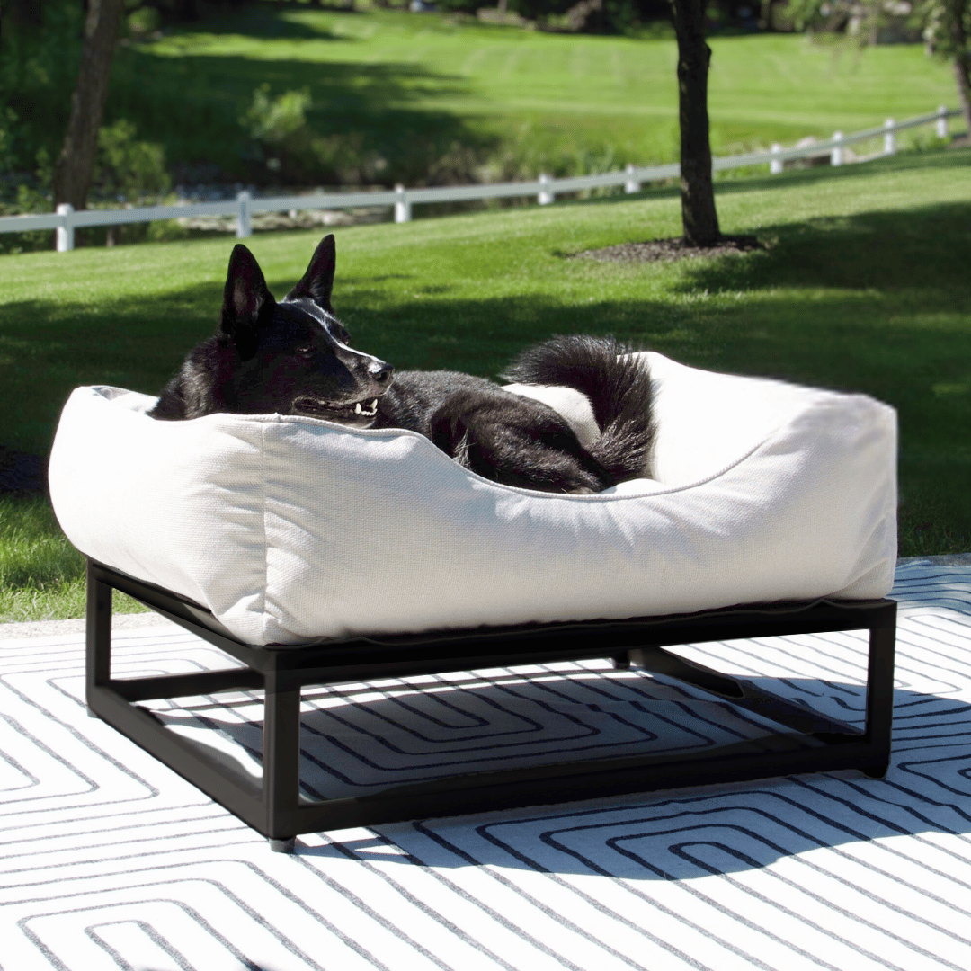 The FÜZI Dog Bed