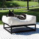 The FÜZI Dog Bed
