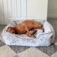 Comfortable Sammy bolster dog bed by Fuzi in medium size, featuring a washable cover that comes in four stylish colors.