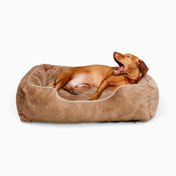 Vizsla on a Sammy bolster dog bed in a medium light brown faux fur by Fuzi, with a removable cover available in four beautiful colors and three sizes.