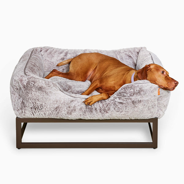 Vizsla on a Light grey faux fur elevated dog bed by Fuzi, designed for enhanced airflow, support, and comfort, in light grey fur with a black metal base.