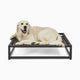 White large dog on the large Up Pup platform dog bed by Fuzi, featuring a metal frame in black, perfect for adding the Sammy bolster dog bed on top, available in small, medium, and large, offering orthopedic support and suitable for outdoor use