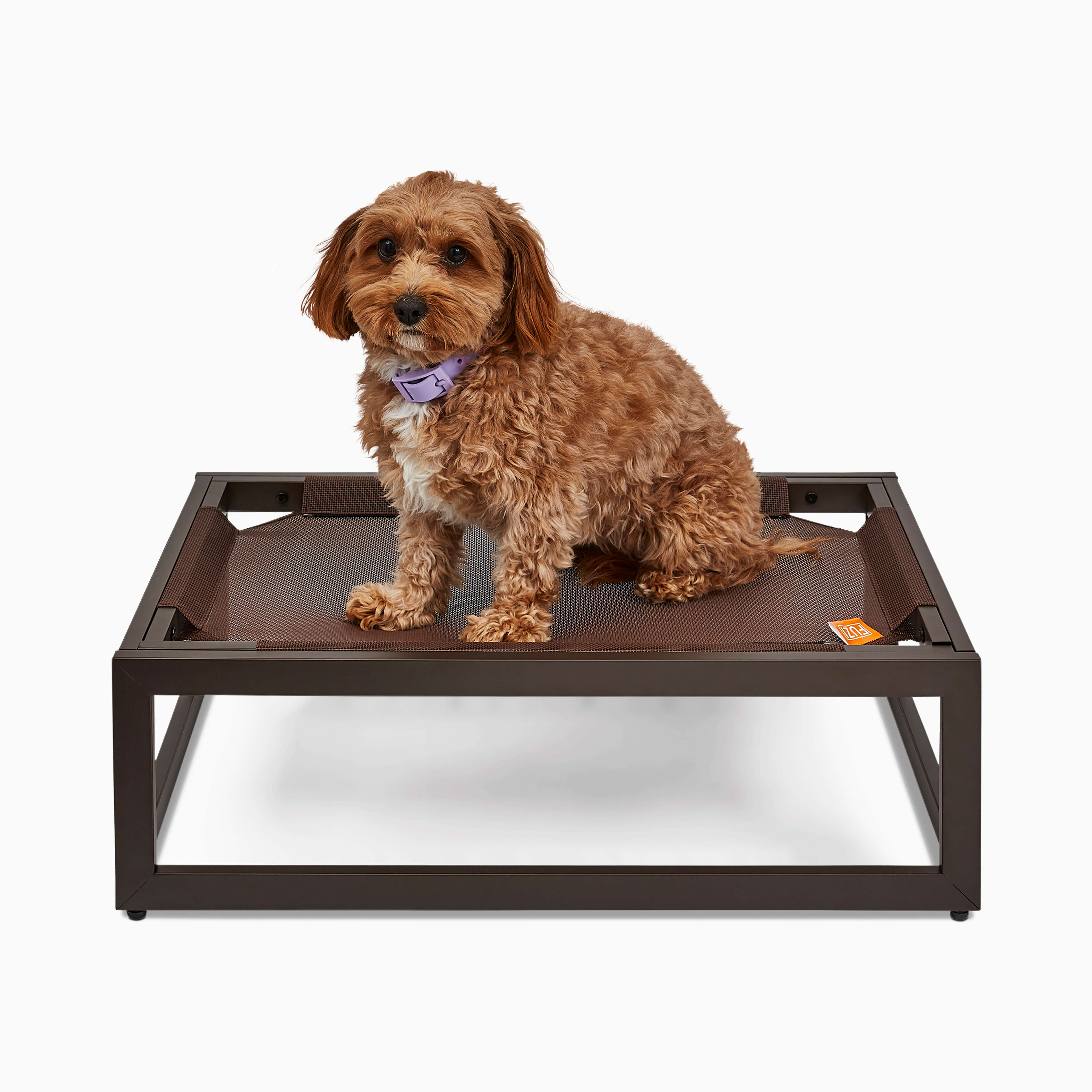 The Up Pup Raised Dog Bed Elevated Dog Beds for Large Dogs FUZI