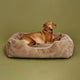 Dark green background with a Vizsla on a Sammy bolster dog bed in a medium light brown faux fur by Fuzi, with a removable cover available in four beautiful colors and three sizes.