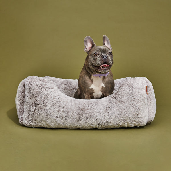French Bulldog on a Sammy bolster dog bed in a small light grey faux fur by Fuzi, with a removable cover available in four beautiful colors and three sizes.