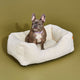 Frenchie on a Sammy bolster dog bed in a small white faux fur by Fuzi, with a removable cover available in four beautiful colors and three sizes.