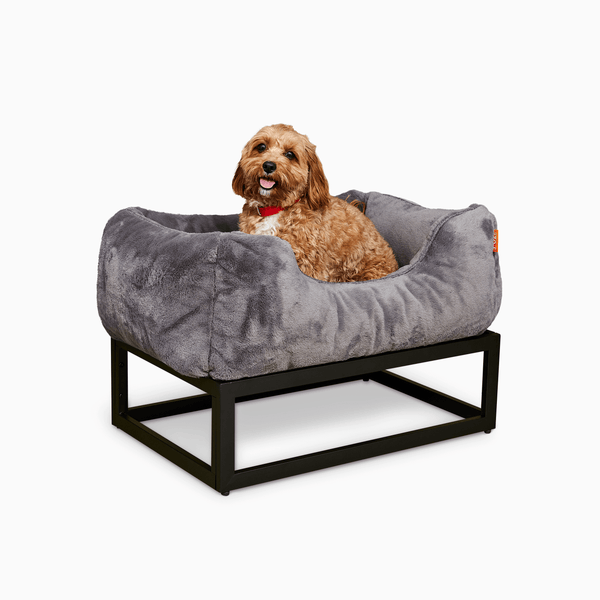Small brown dog on a dark grey faux fur elevated dog beds by Fuzi, designed for enhanced airflow, support, and comfort, in dark fur with a black metal base.