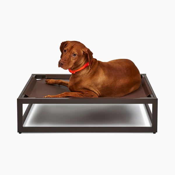 Durable Up Pup platform dog bed by Fuzi, featuring a metal frame in brown, perfect for adding the Sammy bolster dog bed on top, available in small, medium, and large, offering orthopedic support and suitable for outdoor use