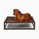 Durable Up Pup platform dog bed by Fuzi, featuring a metal frame in brown, perfect for adding the Sammy bolster dog bed on top, available in small, medium, and large, offering orthopedic support and suitable for outdoor use